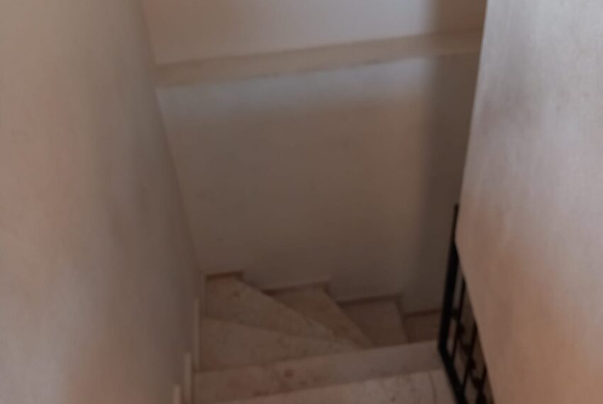 62f47c71-dcab-430e-a6f3-97be4a13f1a3